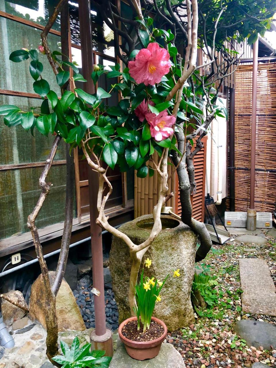 京苑 Kyoen 京町家 Kyoto Exterior photo